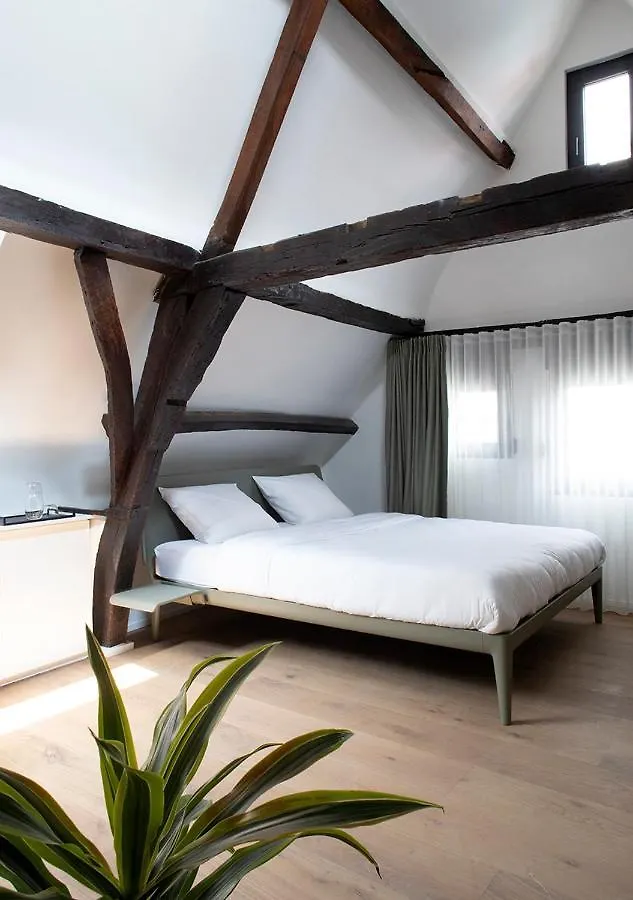 Bed and breakfast The Greenhouse Amberes