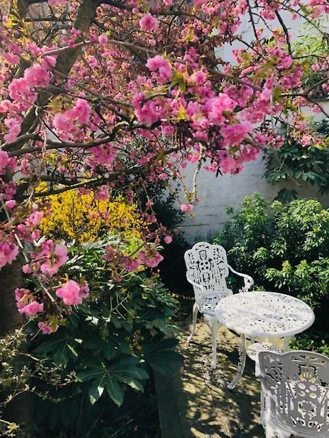 Bed & Breakfast The Greenhouse Antwerp