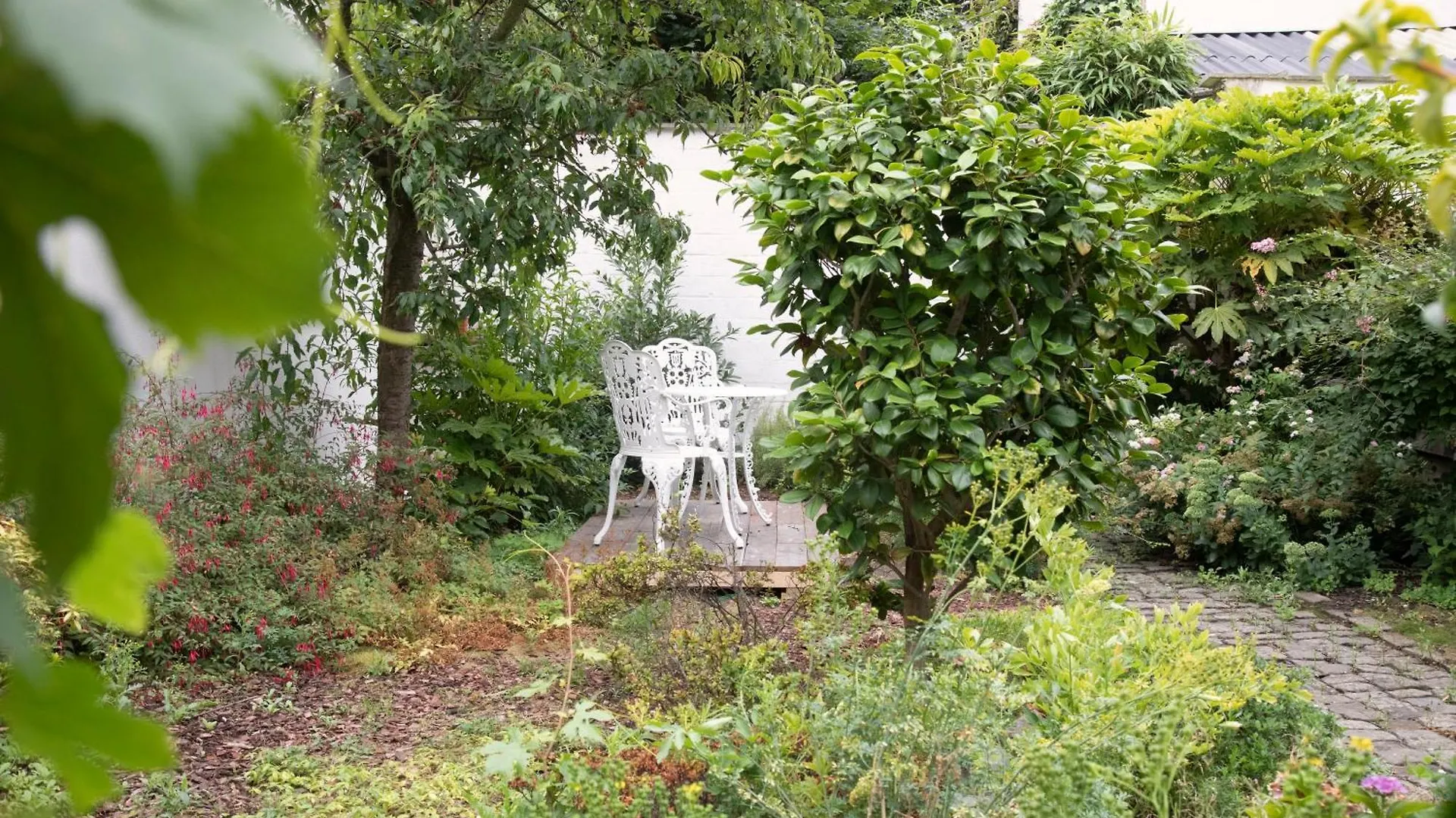 Bed & Breakfast The Greenhouse Antwerp